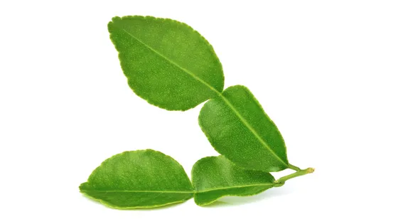 Листья каффир-лайма