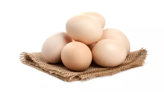 Белки яиц