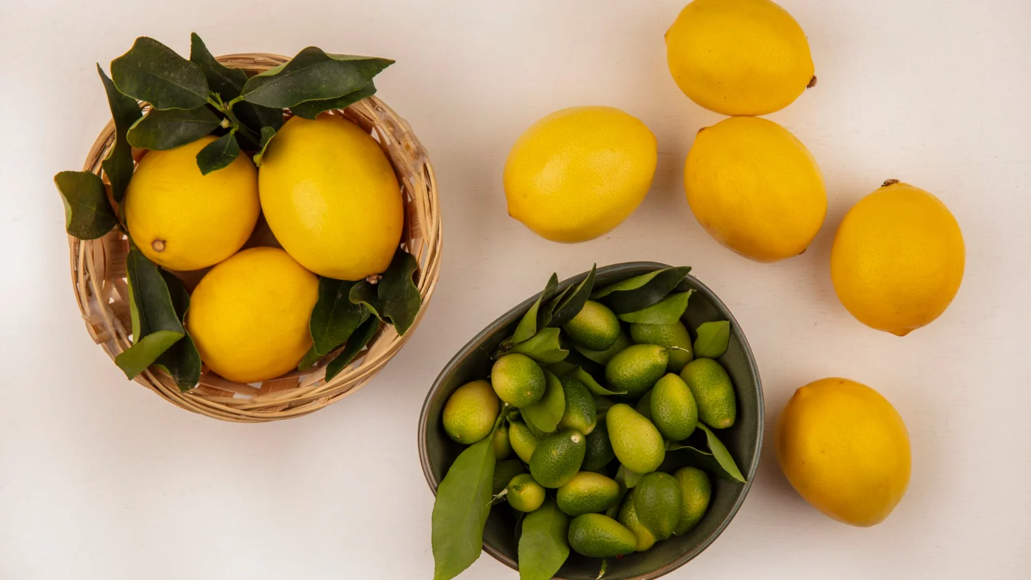 Трав’яні чаї для бадьорості та концентрації – природна енергія без кофеїну.